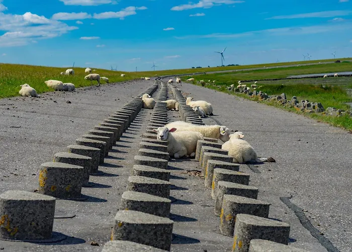 Appartement Möwennest